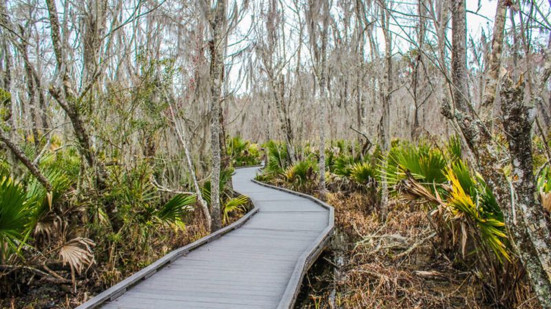 Where to Pause, Not Disturb