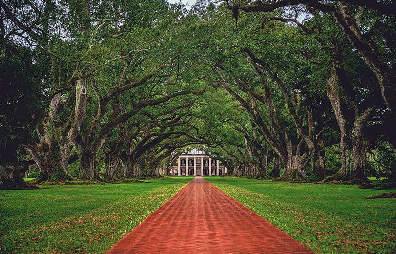 Oak Alley Road, Vacherie