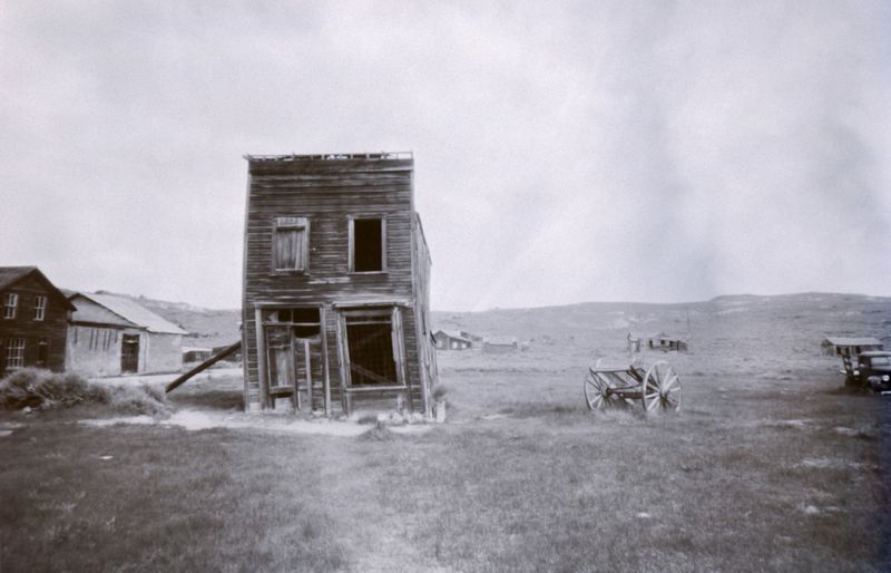 Featured in Photography and Art