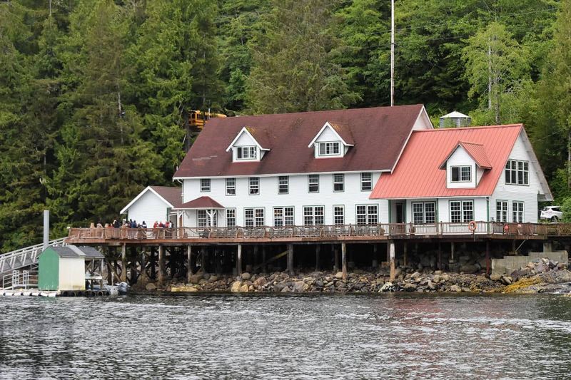 All-You-Can-Eat Abundance