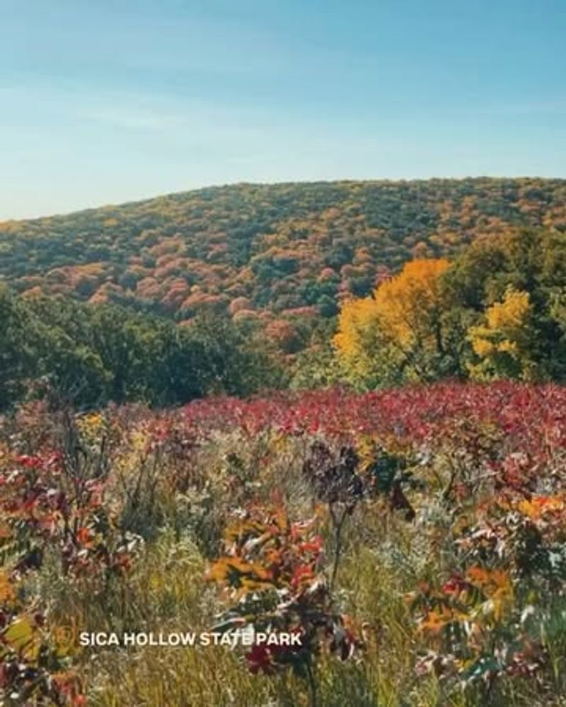 A Destination for the Paranormal Curious