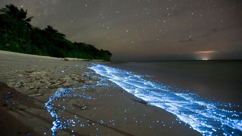 Long Beach Island – Ocean County