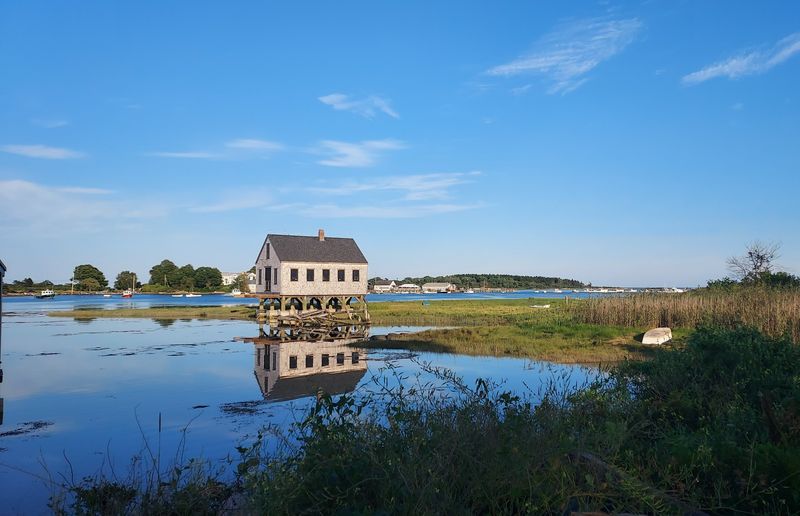 The Lobster Trap Christmas Tree
