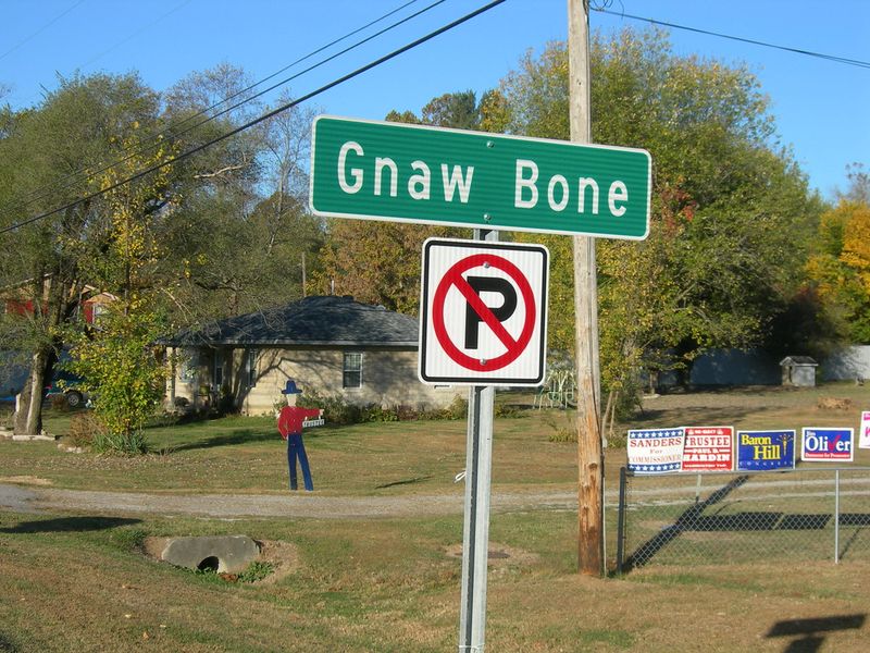 Gnaw Bone