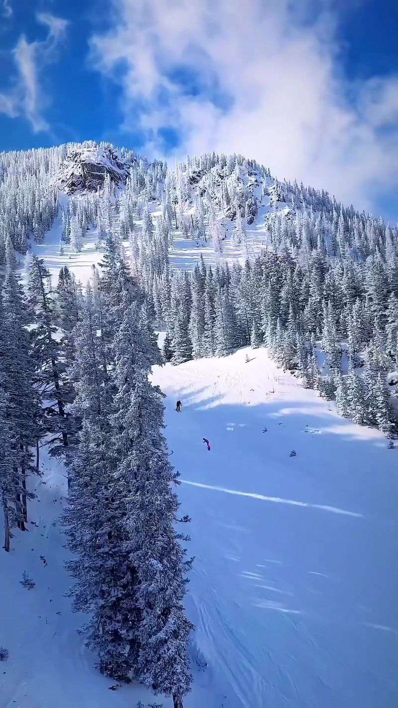 Taos, Art History and Ski