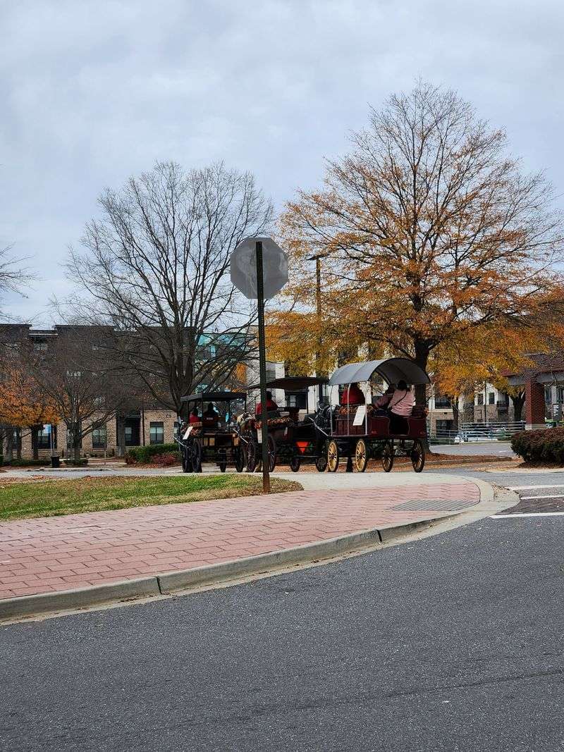 Horse-Drawn Carriage Rides