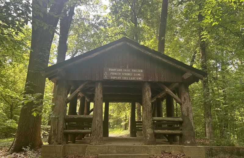 Meeman-Shelby Forest Park, Poplar Tree Lake, Millington