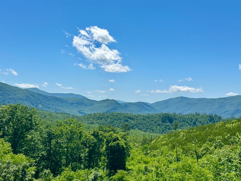 Best Times to Visit for Fewer Crowds