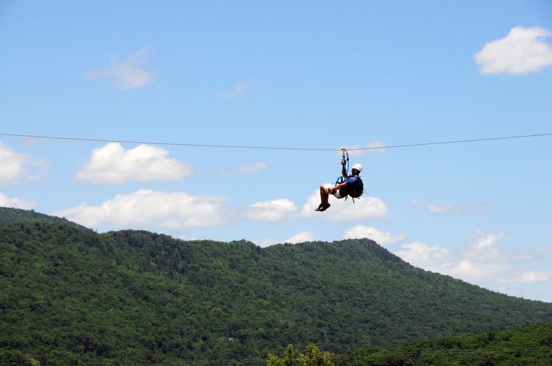 Wildlife Filled Coves Around the Shoreline