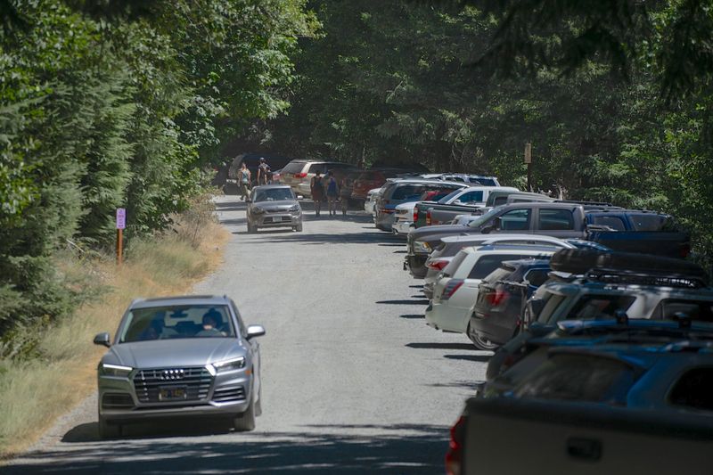 The Rise of the Roadside Trailhead