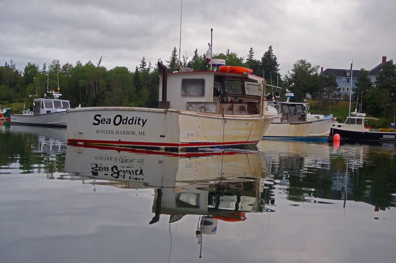 Coastal Charm: A Working Waterfront