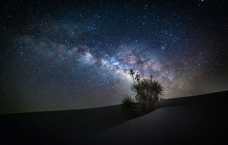 Unique Nighttime National Park Experiences