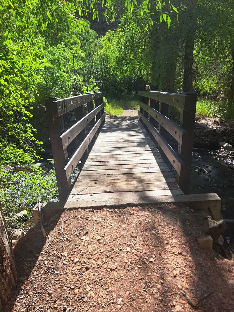 Picnic by the Fields