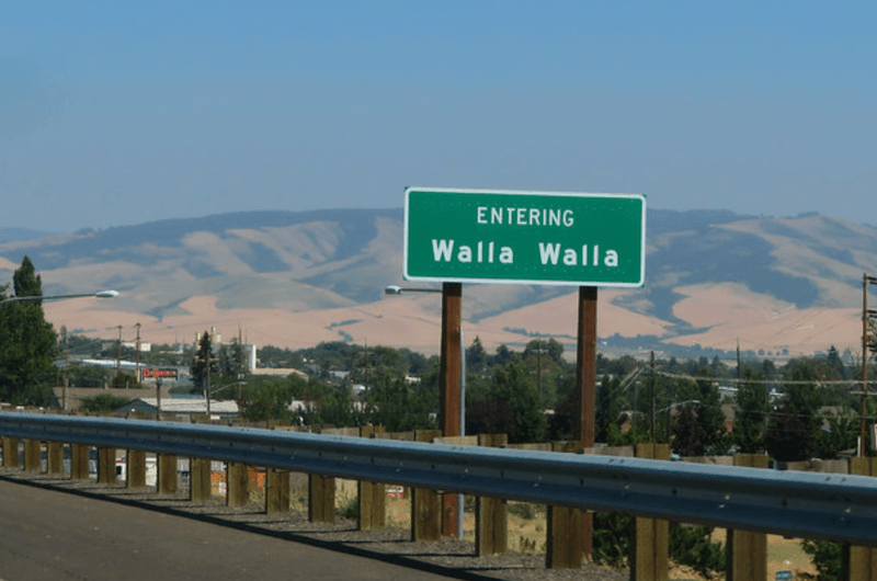 Walla Walla's Projectile Ban