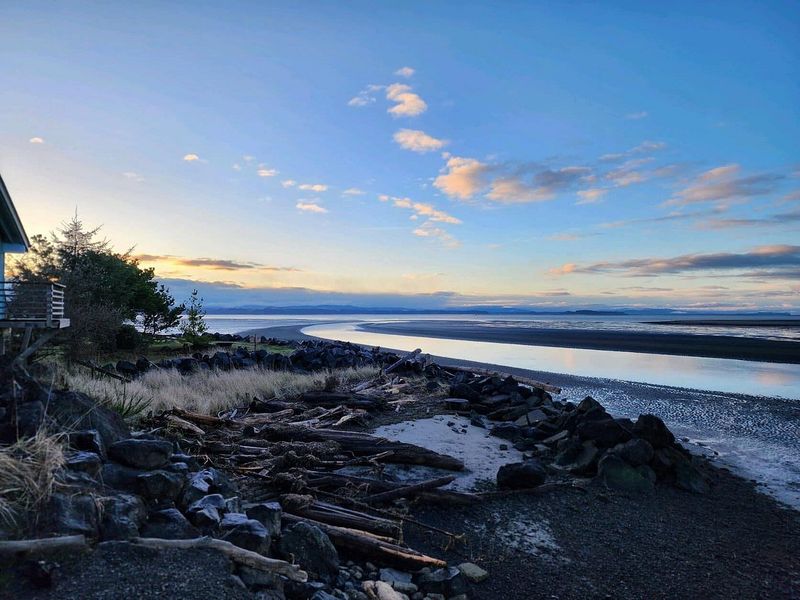Tides That Transform the Landscape