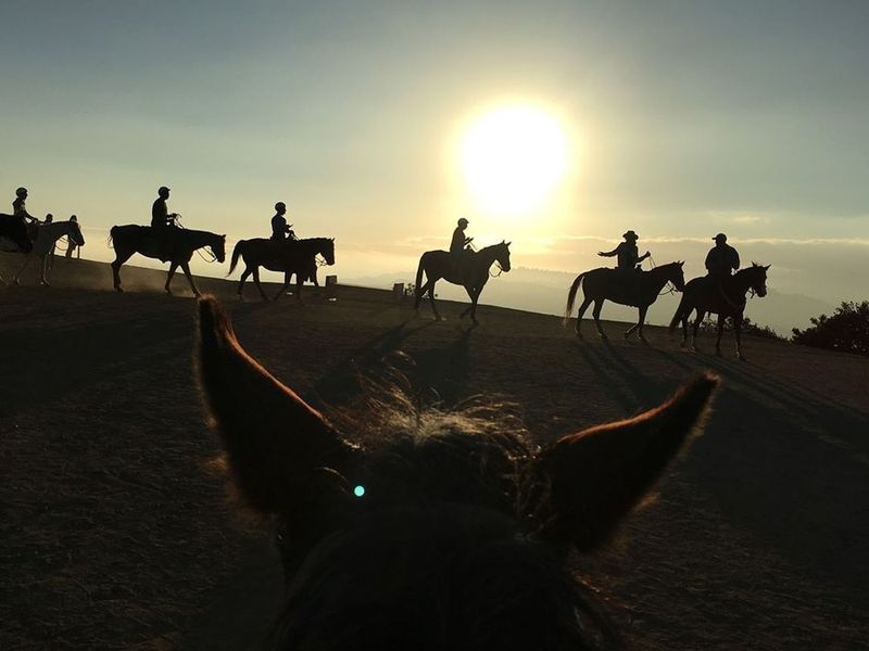 Hollywood Hills Sunset Horseback Ride – Los Angeles
