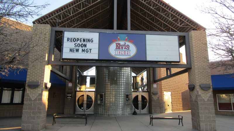 Drive-In Nights in a Parking Lot Sea