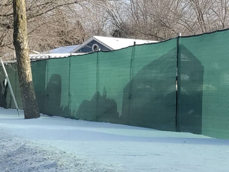 The Great Transformation: Why Shafer Goes All Out