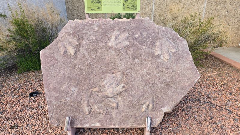 Fossil: Where Prehistoric Creatures Come to Life