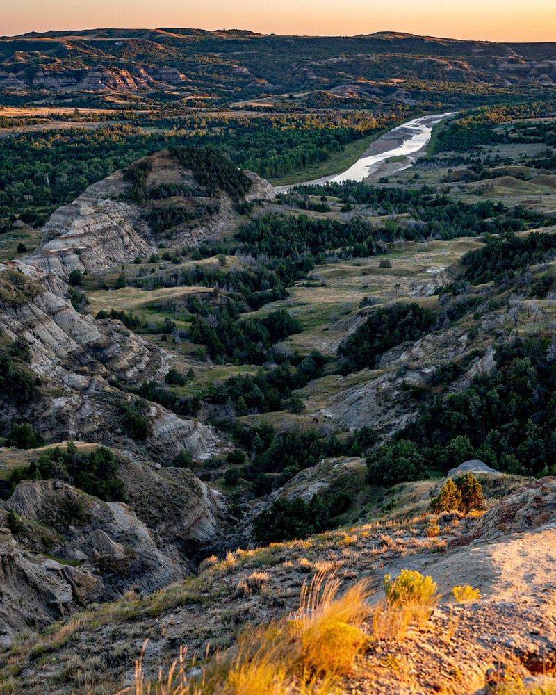 Pembina Gorge Ridge Cabin Remnant