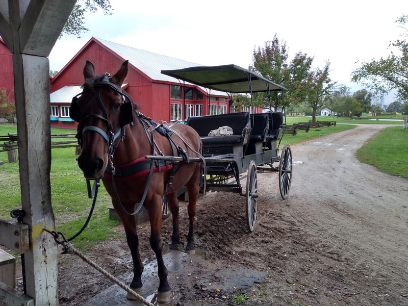 Asking Invasive Personal Questions