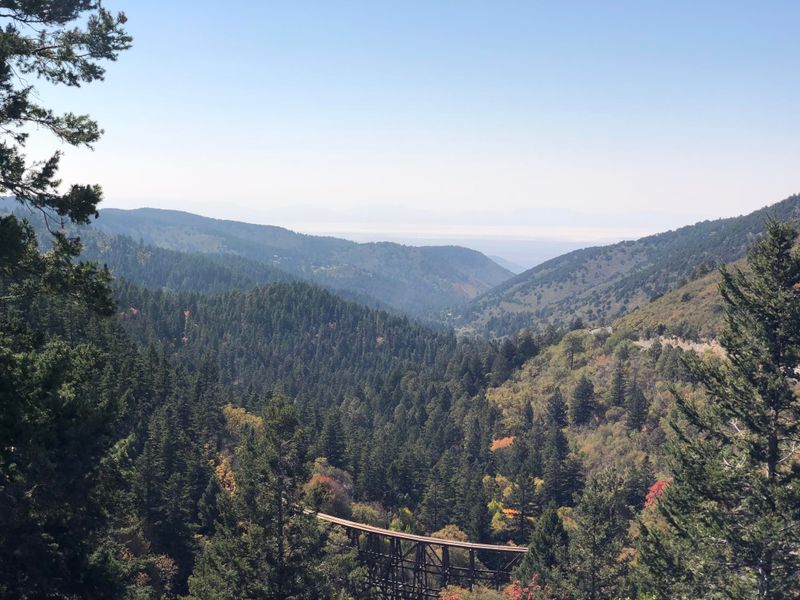 How the Surrounding Forest Protects Its Calm