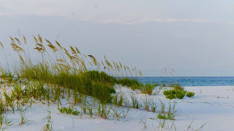 Navarre Beach and Fernandina Beach for Uncrowded Escapes