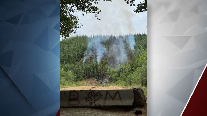 Tillamook State Forest (Gales Creek Campground)