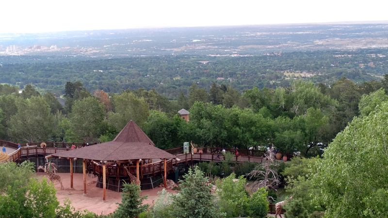 Monkeying Around and More