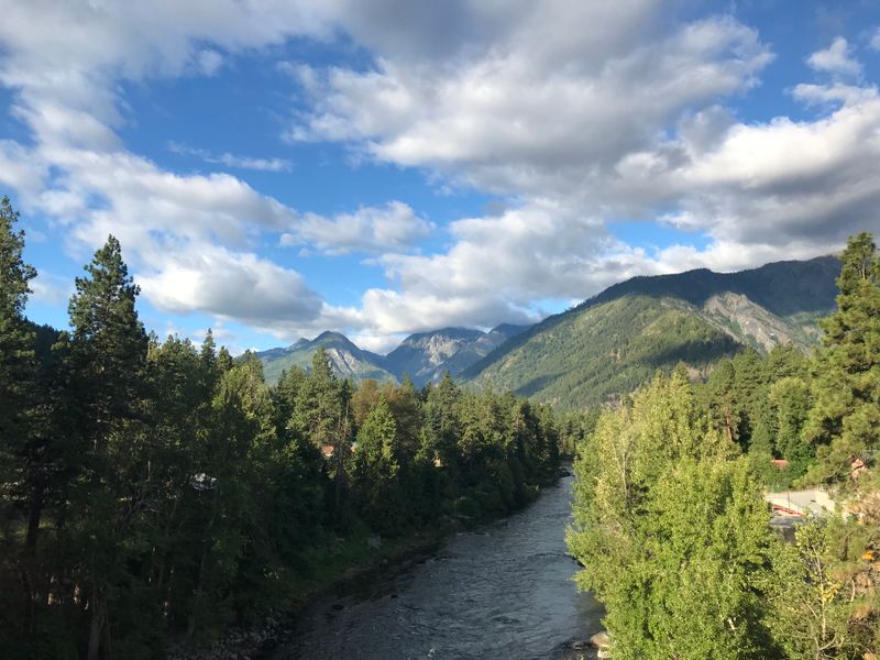 The Contrast of Dry Pines and Snow