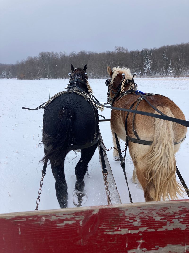 Why These Hidden Routes Are Becoming Wisconsin’s Slow Travel Favorite