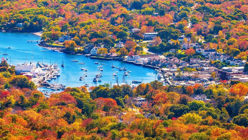 Harbor Trails Framed by Colorful Trees