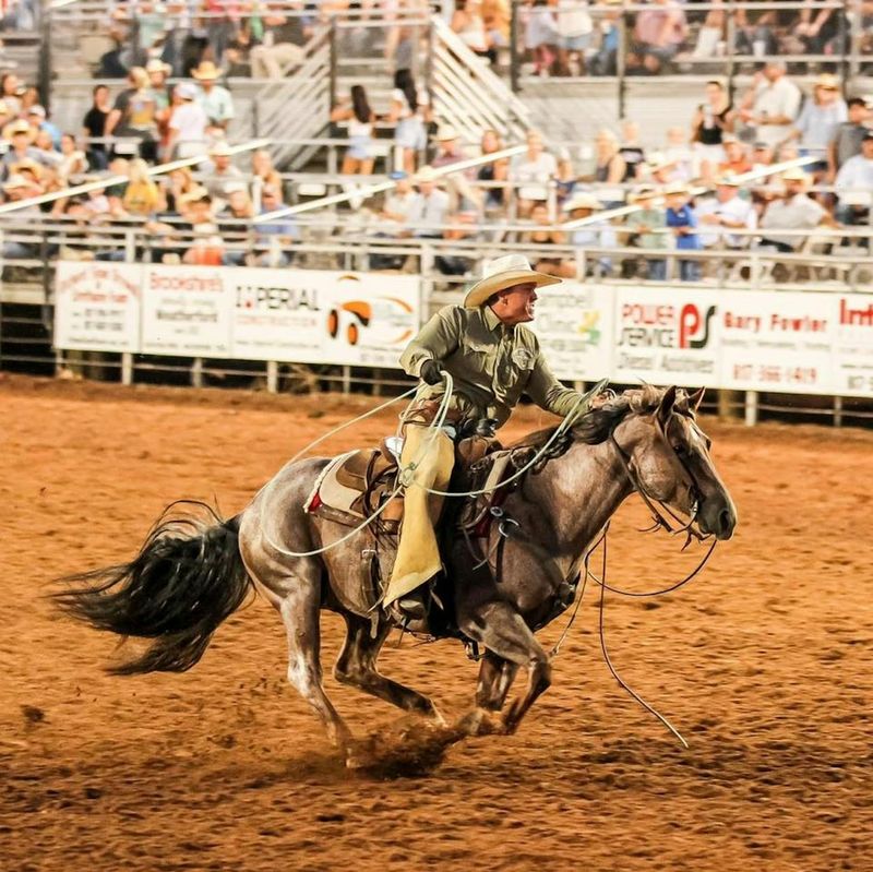 Why Texas Ranch Country Still Holds Authentic Western Spirit