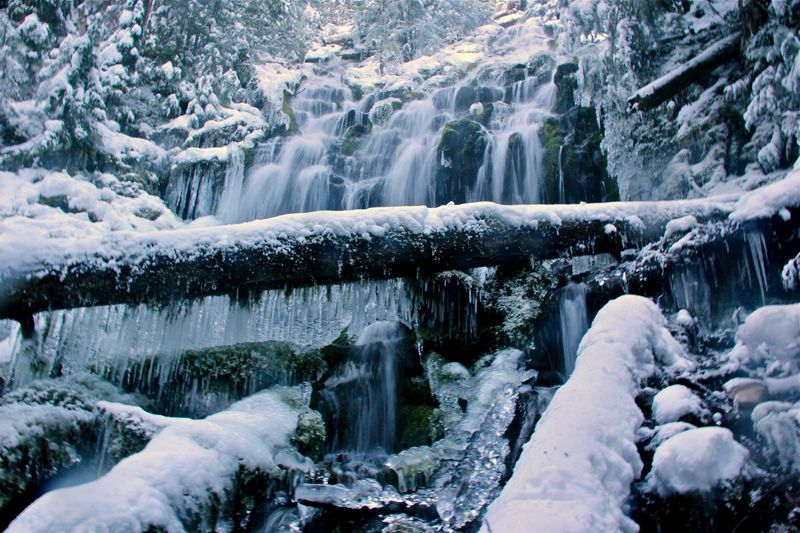 Proxy Falls Trail (McKenzie Pass, when accessible)