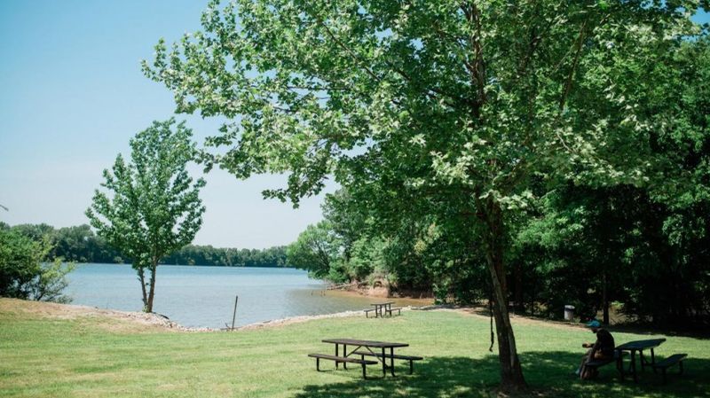 Mousetail Landing State Park (Linden)