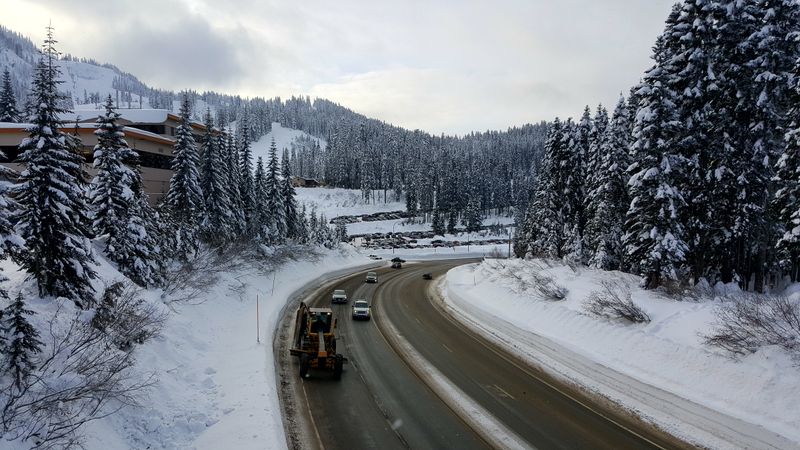 Climbing Into the Snowy Forests Near Stevens Pass