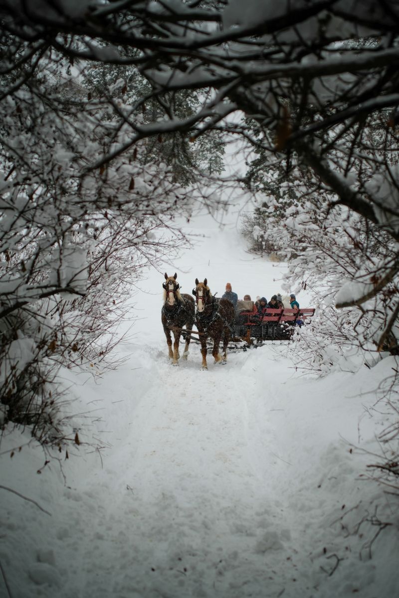 Sleigh Rides and Outdoor Activities