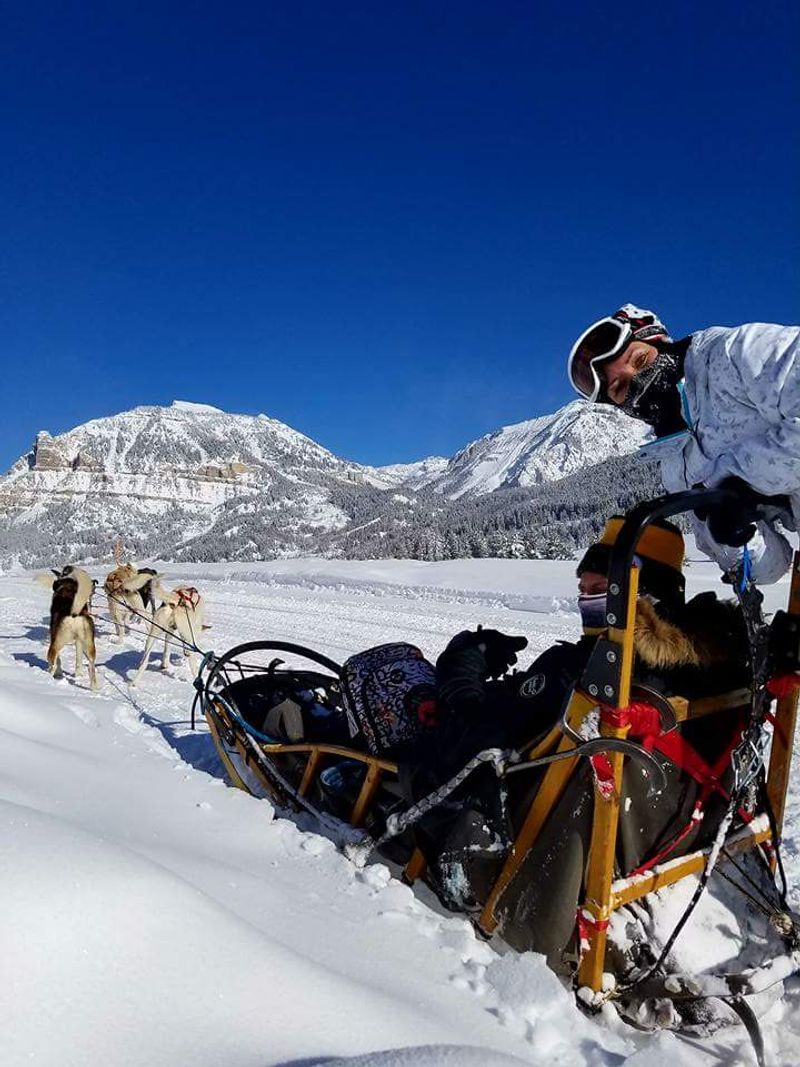 Dog Sledding Through Snowy Trails