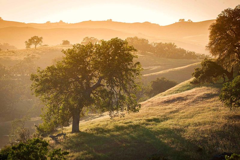 Morning Light That Changes the Landscape