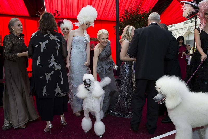 Bringing French Poodles to the Opera
