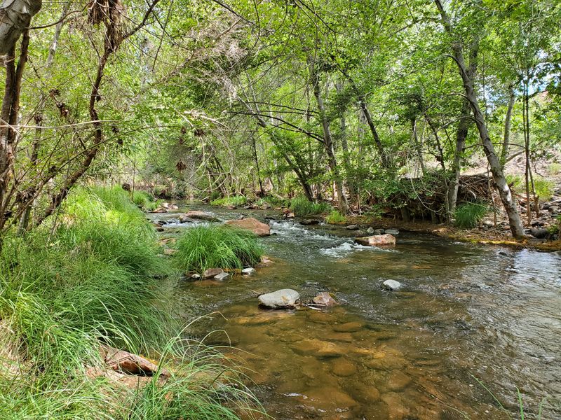 Rich Wildlife and Biodiversity