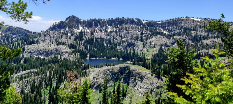A Walkable Downtown Framed by Pines and Alpine Streets