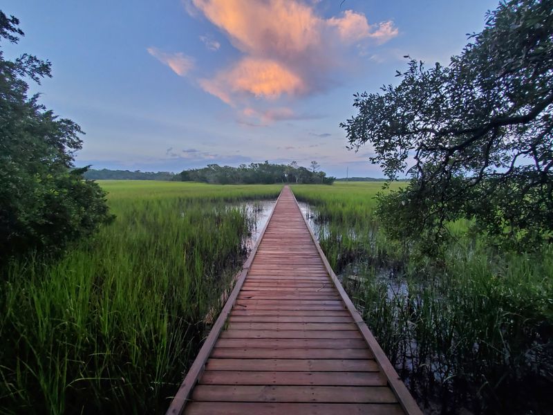 Edisto Island: Unspoiled Coastal Peace