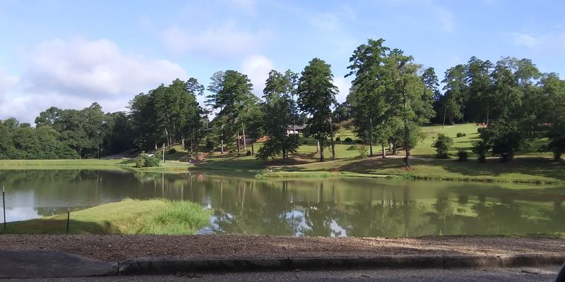 Monroeville’s Literary Charm Set Against a Quiet Winter Backdrop