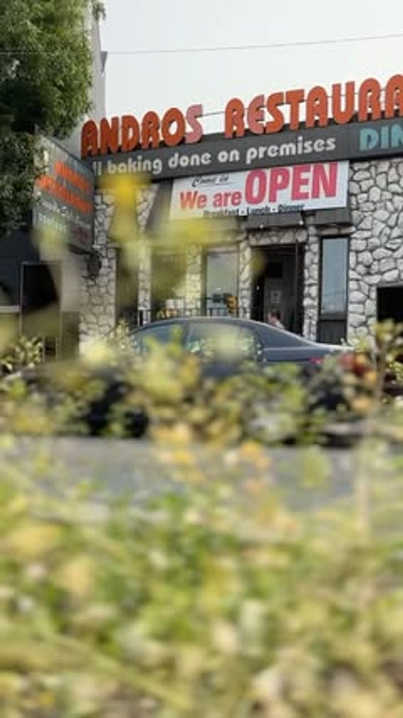 Andros Diner: Newark