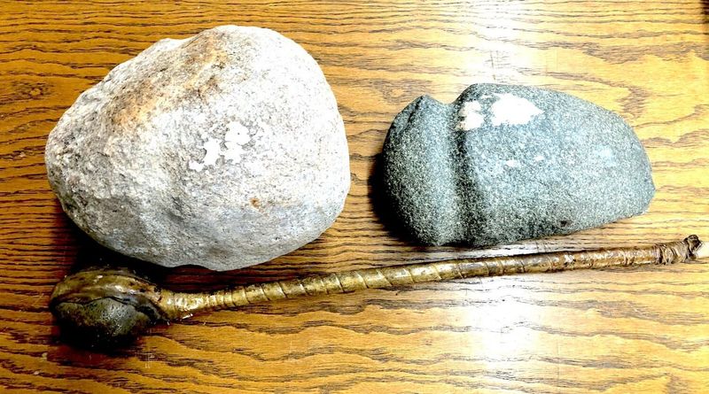 Cultural and Historical Significance to Indigenous Peoples