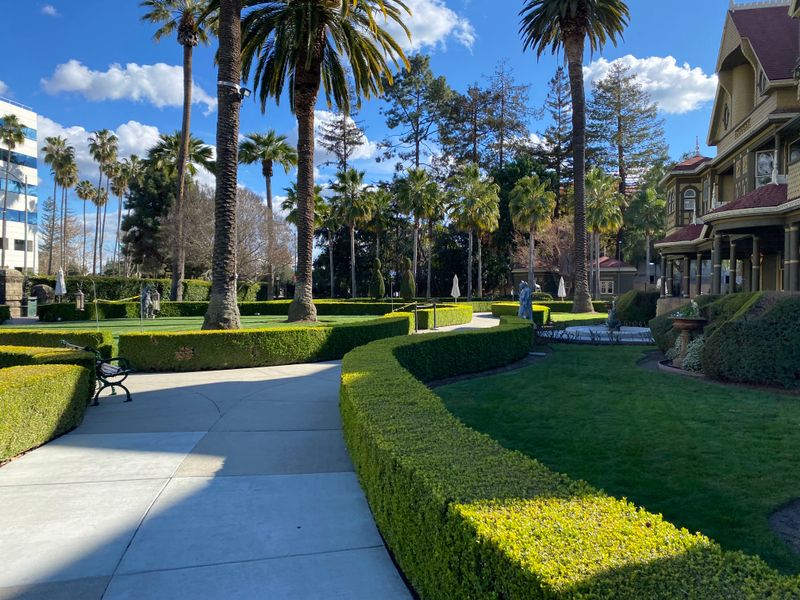 Gardens Outside That Feel Strangely Calm After the Tour