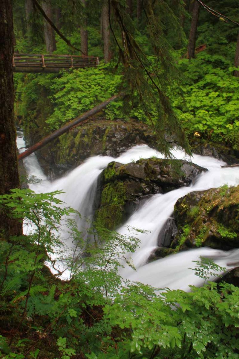 Sol Duc Twilight - Hot Springs and Shadows