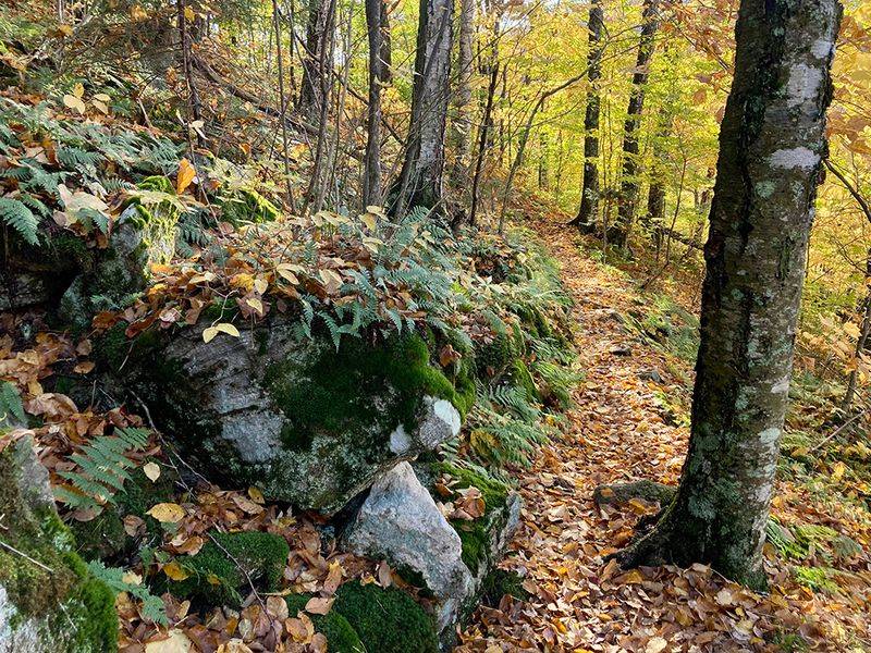 The Long Trail and Hiking Dangers