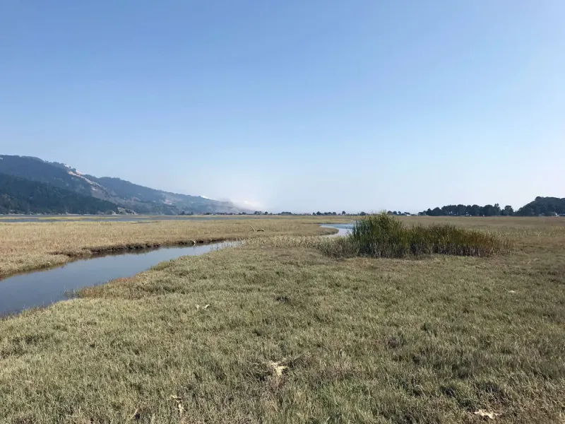 Nature Trails That Feel Close and Calm